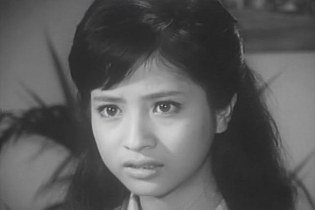 昭和を彩った美しすぎる女優のランキング