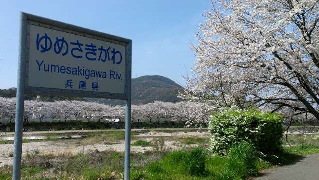 あなたの街の「桜の名所」、、、