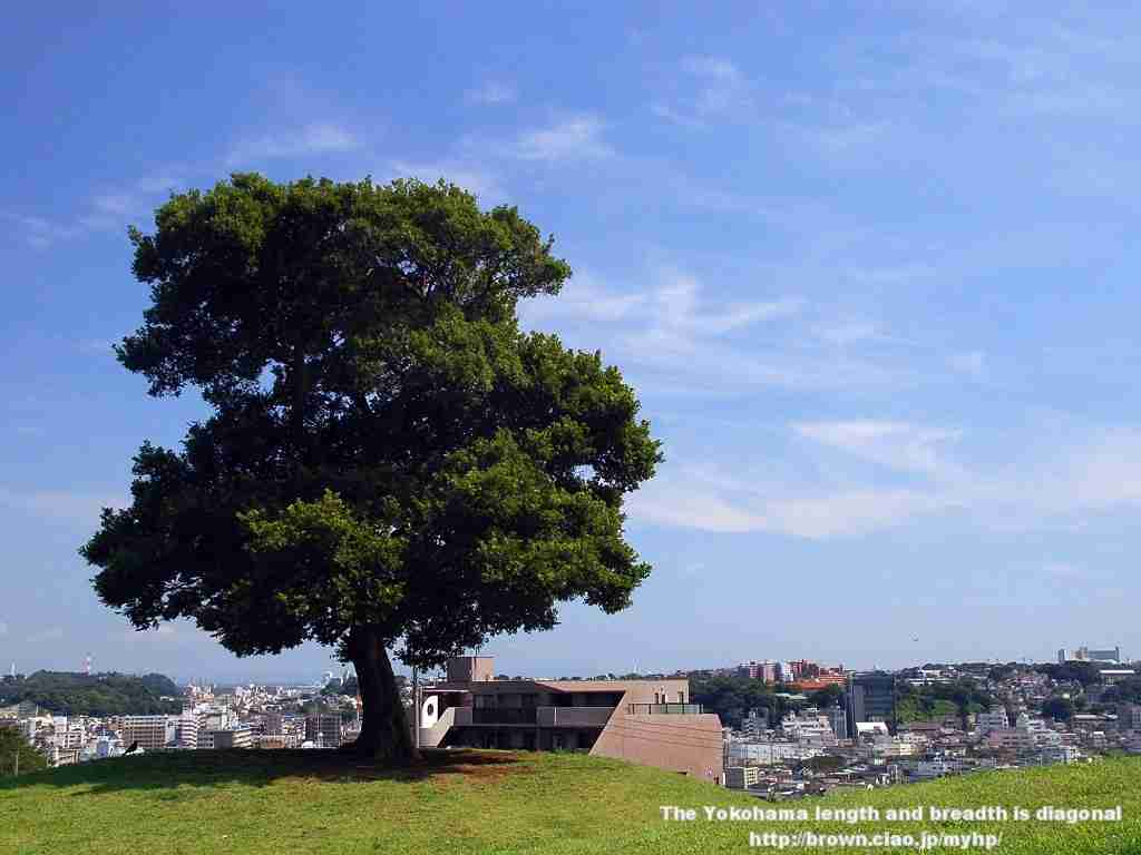 自分の住んでいる都道府県のデートスポット