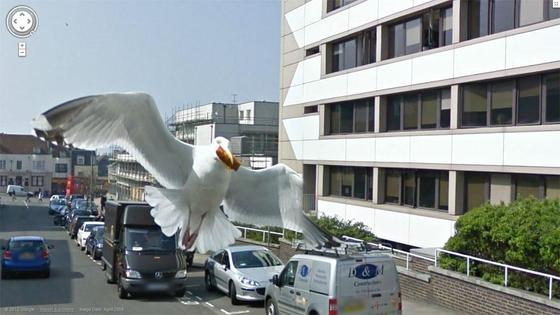 【Google Earth】グーグルアースの面白い・不思議な写真が集まるトピ！
