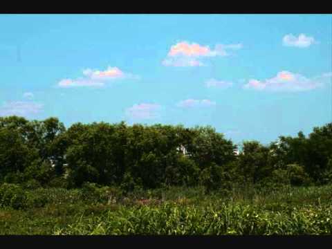 残暑 - YouTube