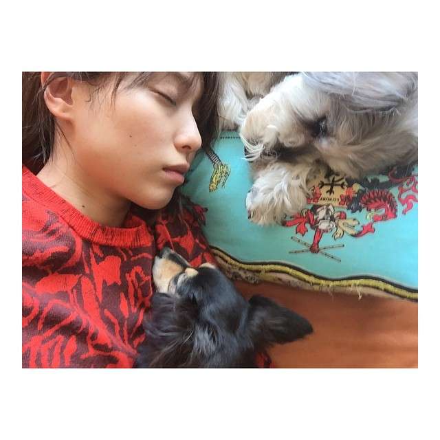 戸田恵梨香が“お昼寝”写真をInstagramで公開し話題「可愛すぎ」「どんだけ美人」