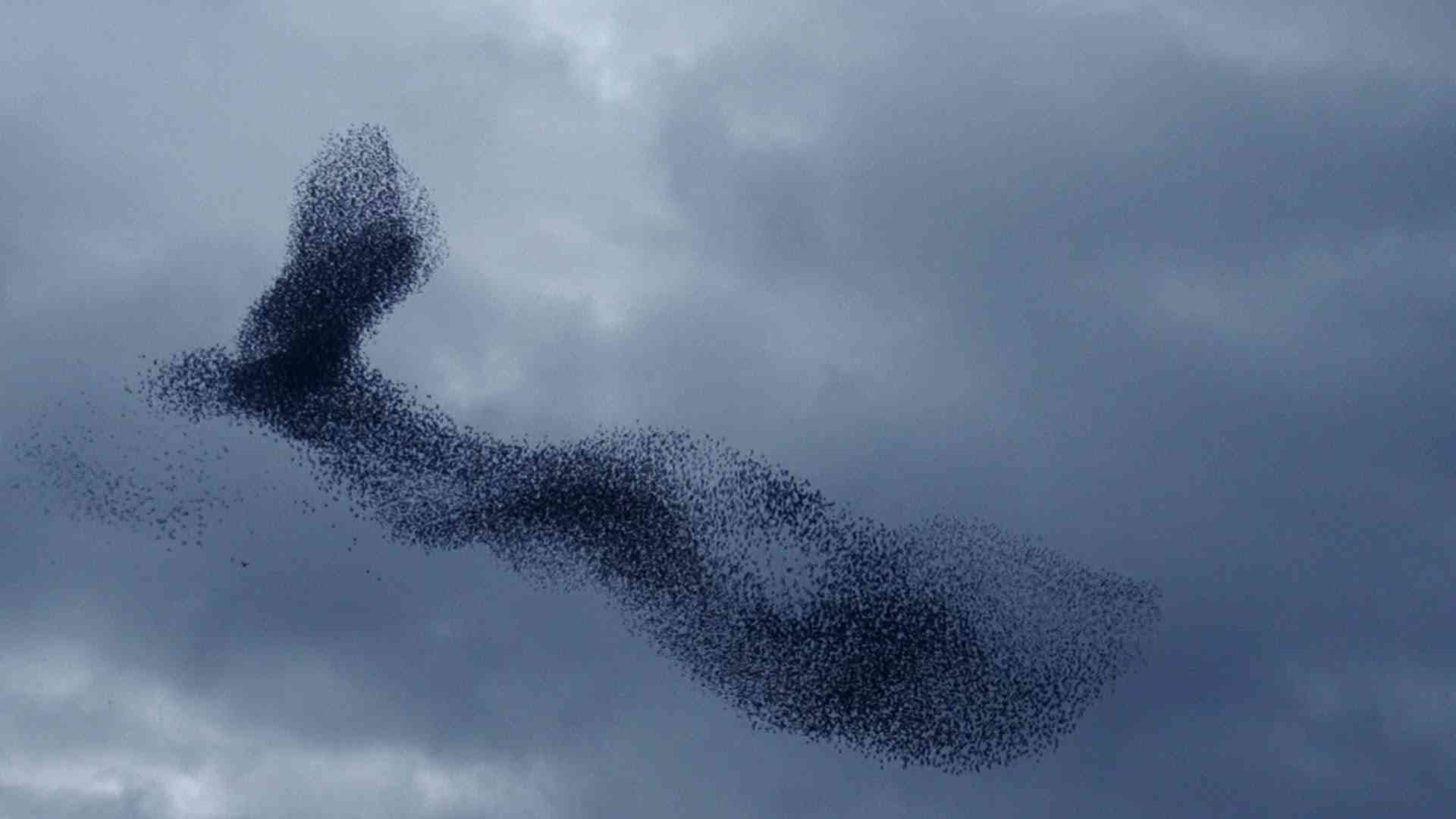Wonders in the Sky - YouTube