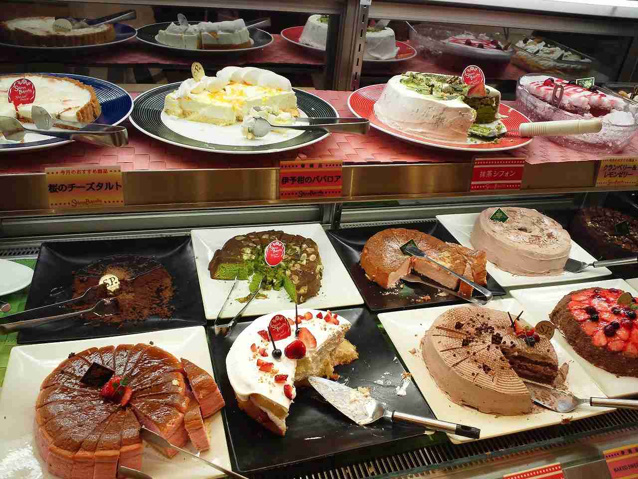 テンションの上がる画像を貼るトピ