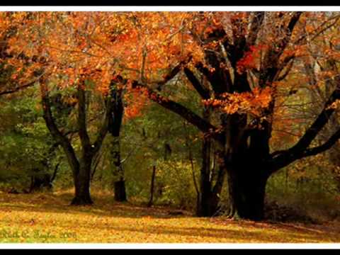 Forrest Gump (Piano Solos)- Dedicated to Gayathri - YouTube