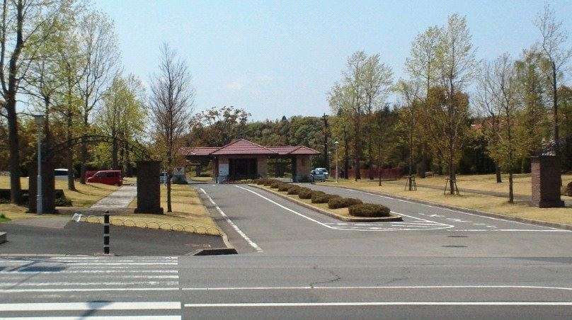 一軒家、マンションでそれぞれ良かったこと