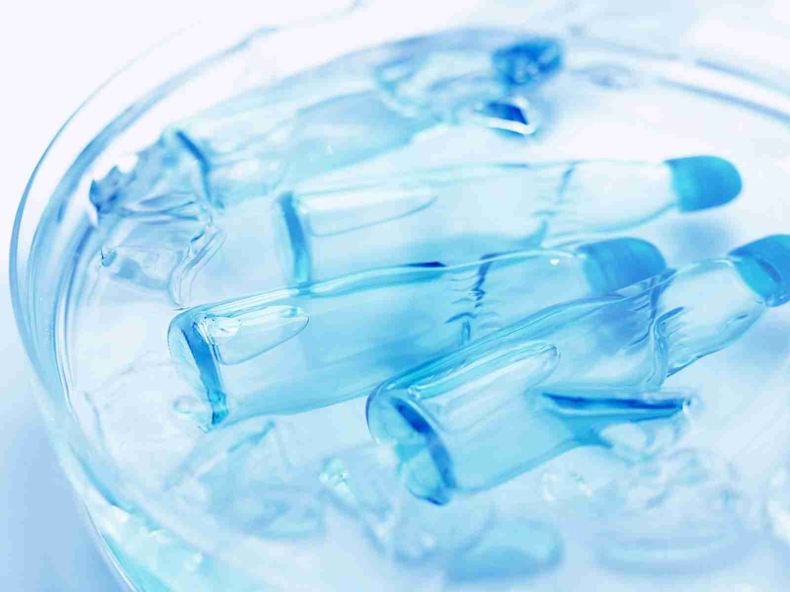 テンションの上がる画像を貼るトピ