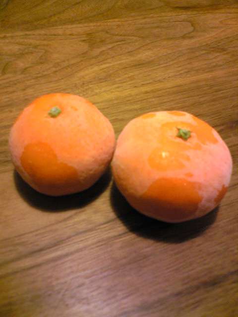 給食で好きだったメニュー!