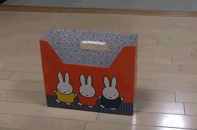 【画像】ネコが選択を間違えた瞬間www
