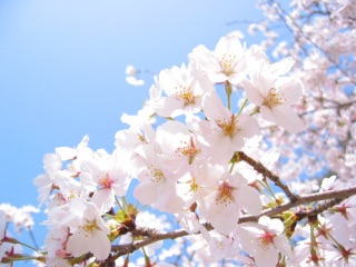 卒業にまつわるエピソードどうぞ！