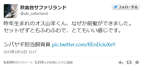 昨年生まれた前髪が天然パーマの山羊ｗｗｗ