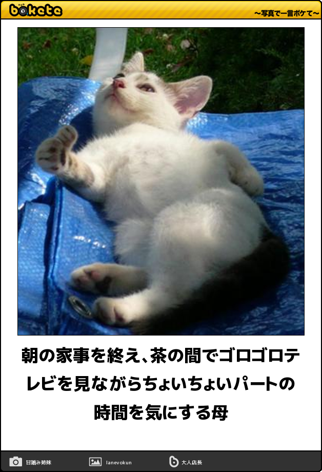 普段やらないから、失敗した事