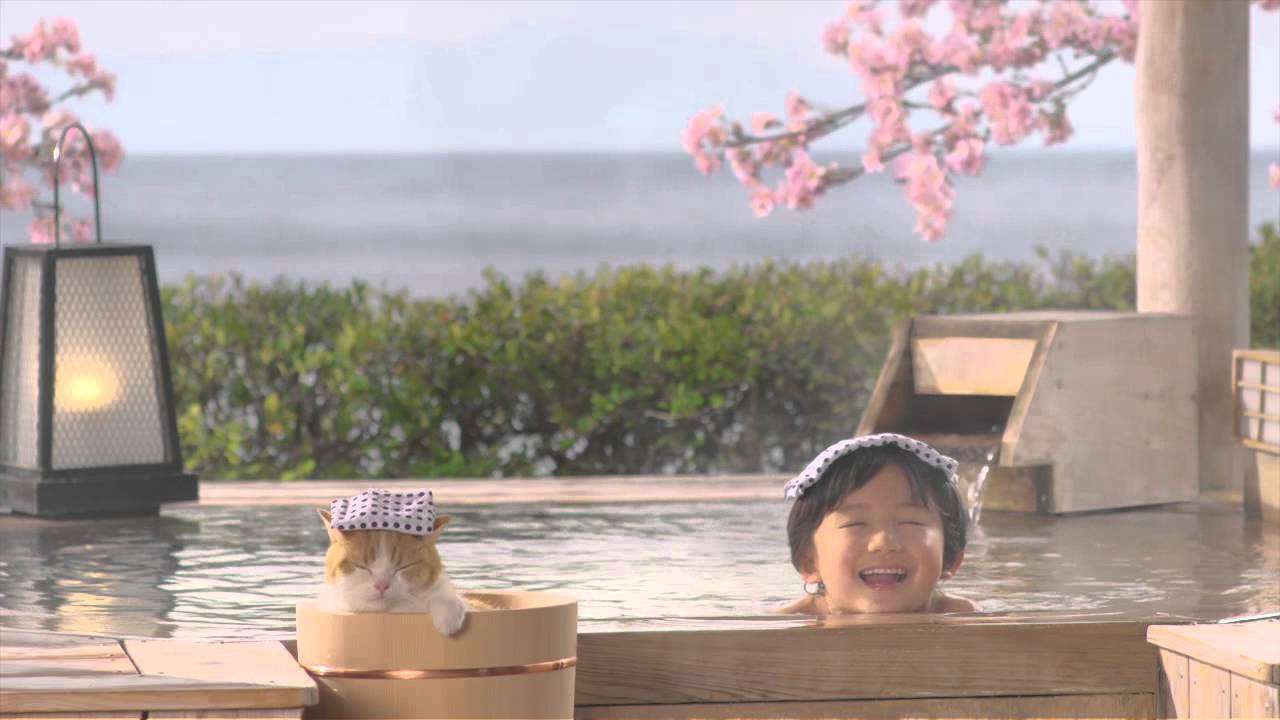 にゃらん　小さな弟子篇（１５秒） - YouTube
