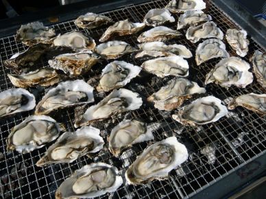 食べ放題好きな方〜?
