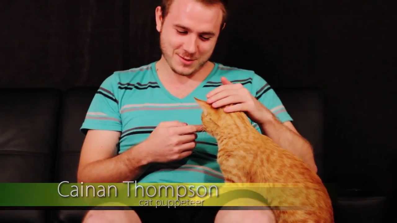 Meet Dubstep Cat - YouTube