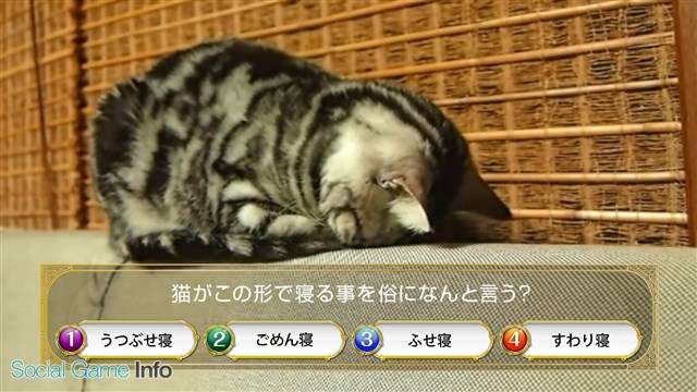 色んな「ごめん寝」画像で癒されるトピ