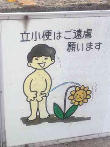 シュールな画像ください。
