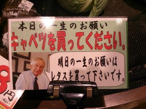 シュールな画像ください。