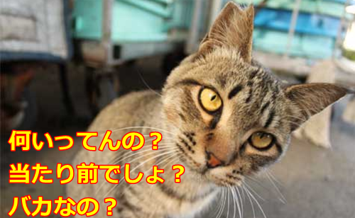 ペットが亡くなったら仕事休みますか？