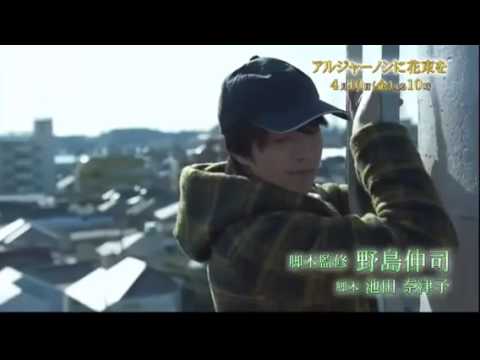 アルジャーノンに花束を - YouTube