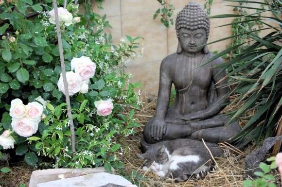 意外と良く合う。仏像と猫のツーショット光景「仏猫」