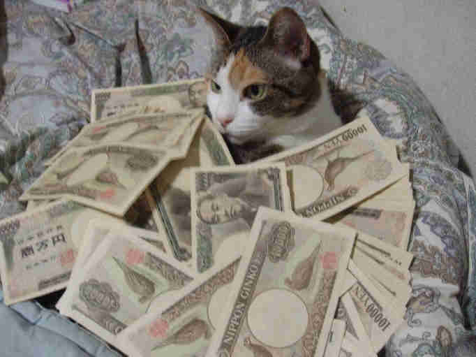 お金持ち自慢！