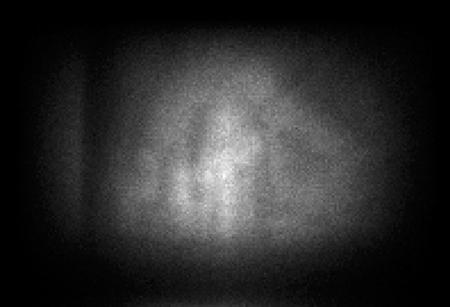 炉内燃料、ほぼ全量溶融…調査により初めて確認　福島第1原発1号機