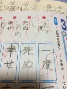 面白回答画像