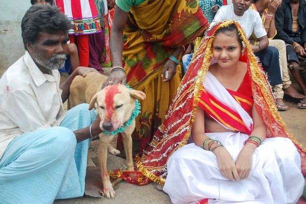 18歳女性が犬と結婚させられる…インド