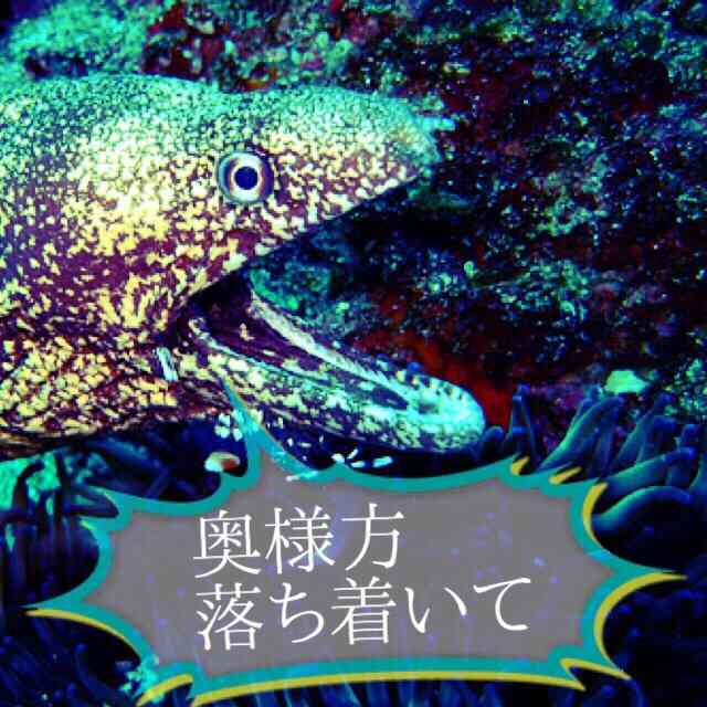 出口見えない「殉愛」裁判…やしきたかじん妻さくらさんはネット中傷で体調不良