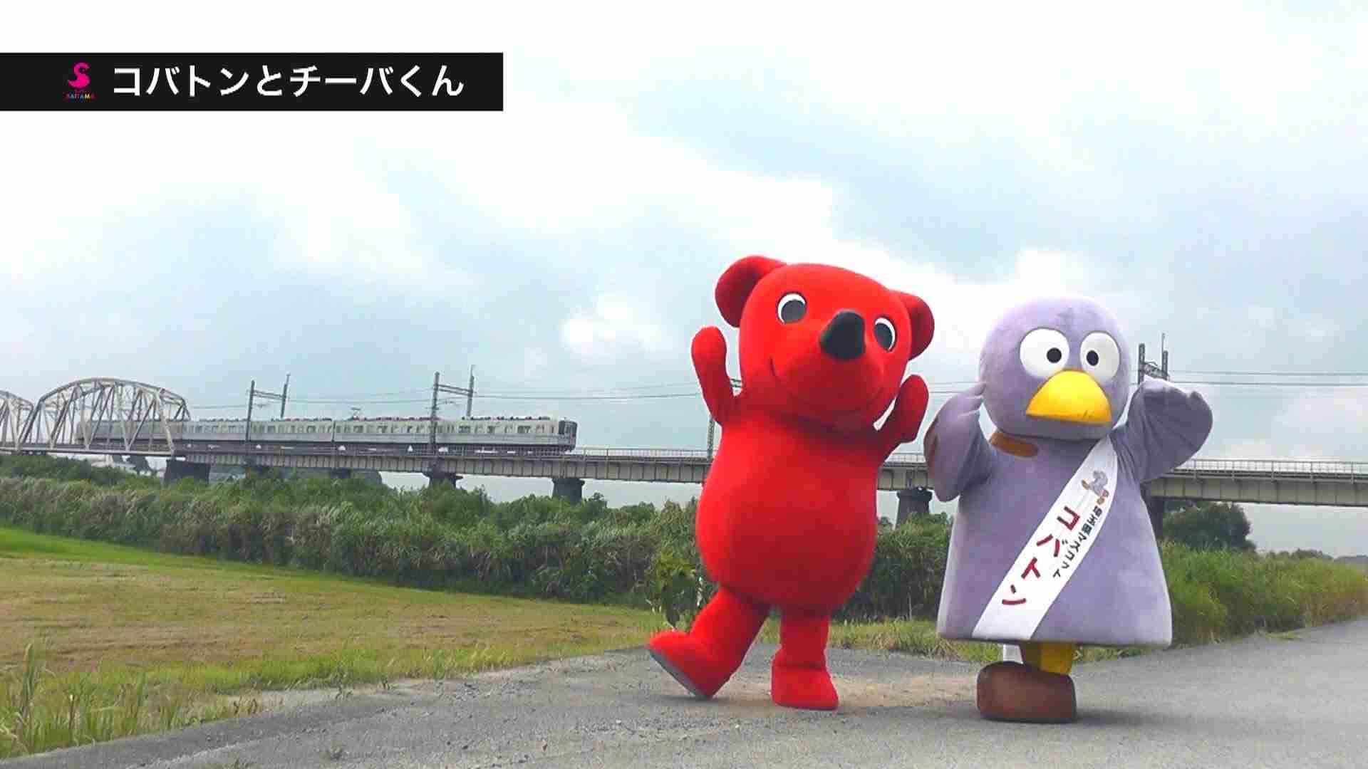 そうだ埼玉　打倒神奈川！千葉とは和解！埼玉県民の逆襲 - YouTube