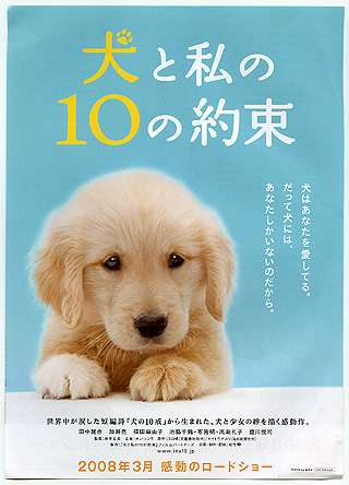 一番泣いた映画は?