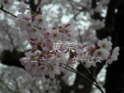 サニーデイ・サービス － 東京 - YouTube