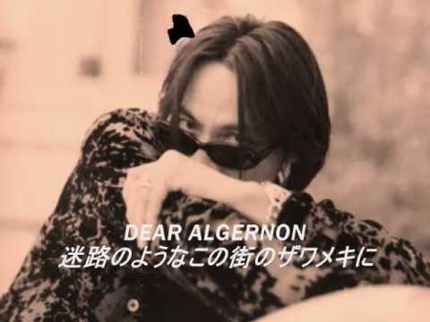 hk 06 DEAR ALGERNON lyrics - YouTube