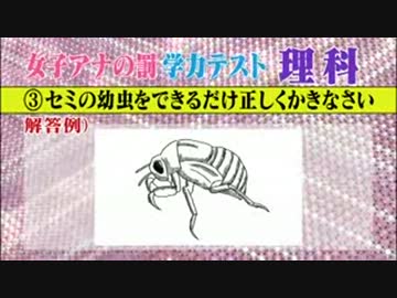 面白回答画像