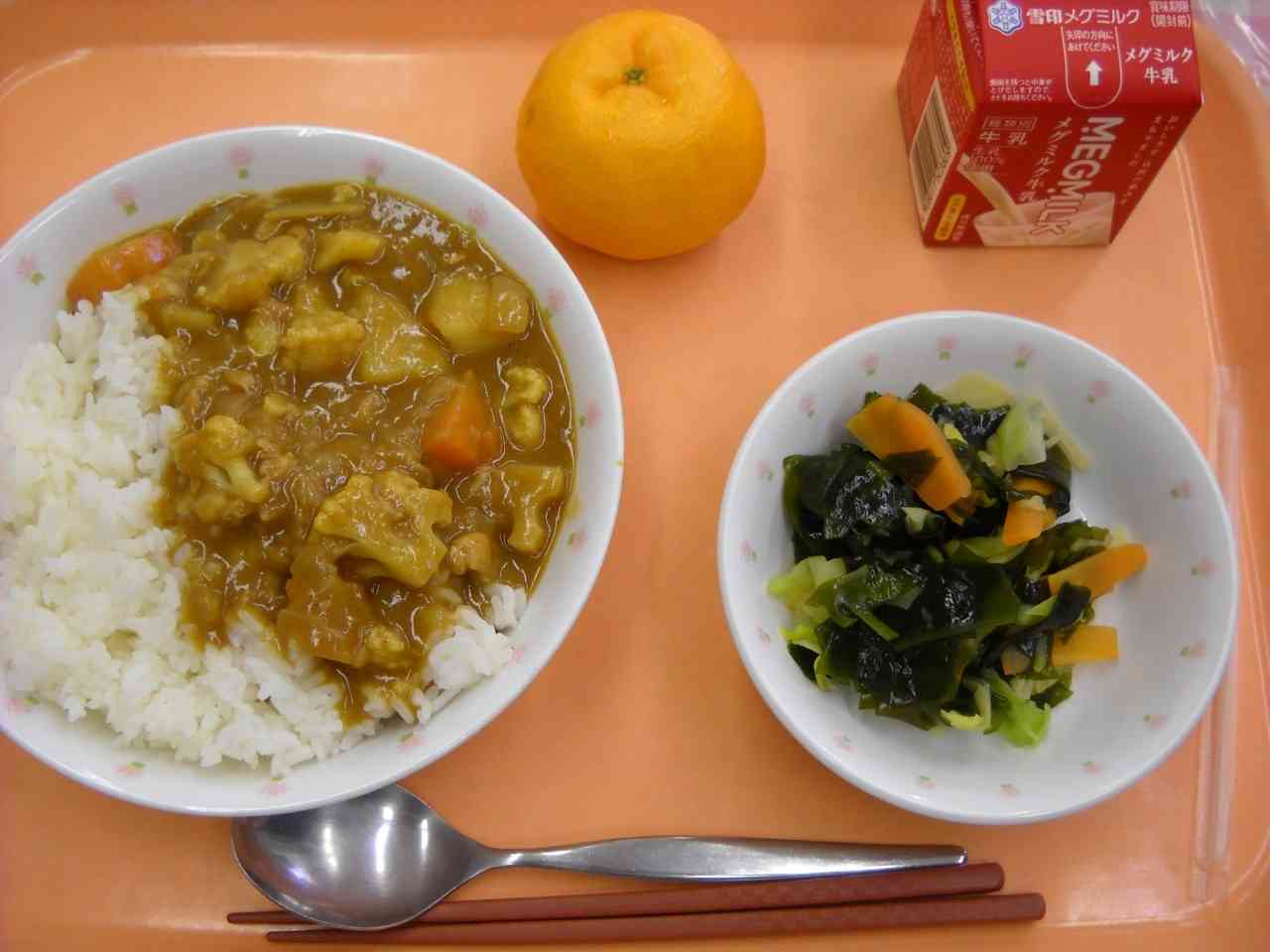 カレーメニュー（カレー味）好きな人
