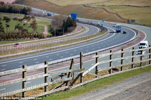 わんこがトラクター運転し事故、農場の柵突き破り高速道路へ飛び出す。