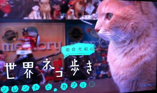 NHKの好きな番組