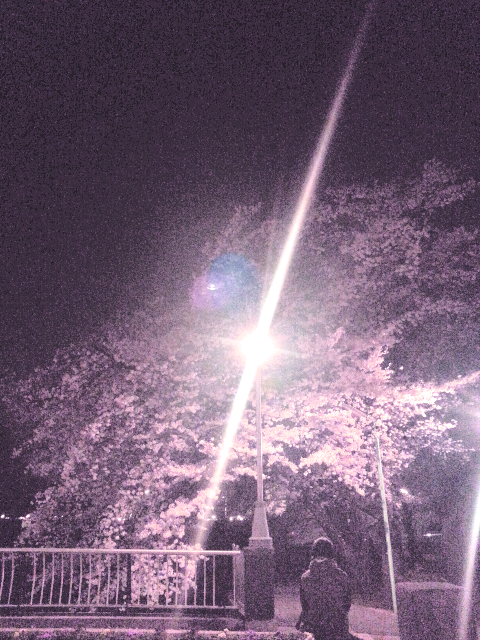 Sexy Zone・菊池風磨の父、ブログに息子の写真を掲載？　ファンから「便乗商法」指摘も