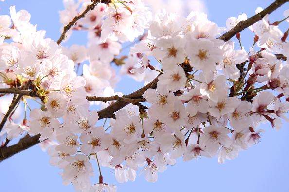 普段やらないから、失敗した事