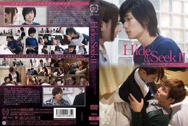 アダルトビデオ市場への女性進出　8割が「見るの好き」と回答