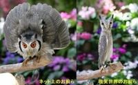 【面白画像】ネット上のお前らと現実世界のお前らの画像まとめ - NAVER まとめ