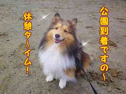 【画像】おやつの時間