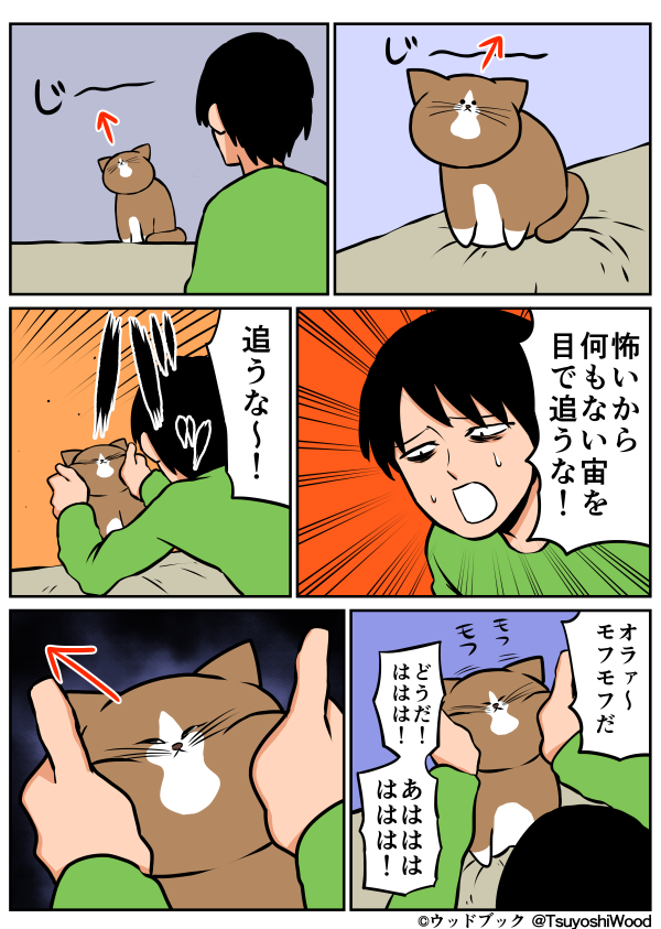 愛猫目線で書き込むトピ