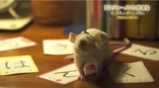 “女子中高生が好きな芸人”1位は8.6秒バズーカー。NON STYLEは“苦手な芸人”と両方で王座陥落。