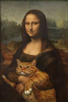 和む画像ください