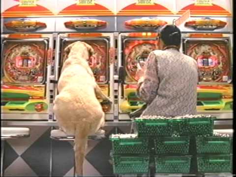 ゴンタクラブのＣＭ（当時のHP担当・前田氏に許可済み！） - YouTube