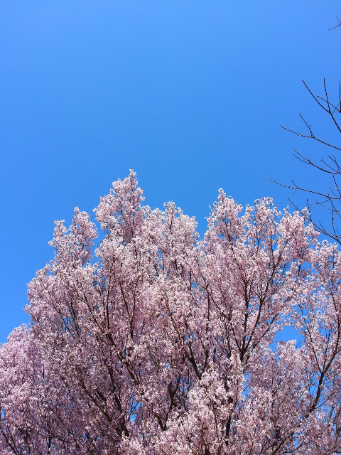 新年度へ！！｜菊池常利 OFFICIAL BLOG ☆ HAPPY BOMB！☆