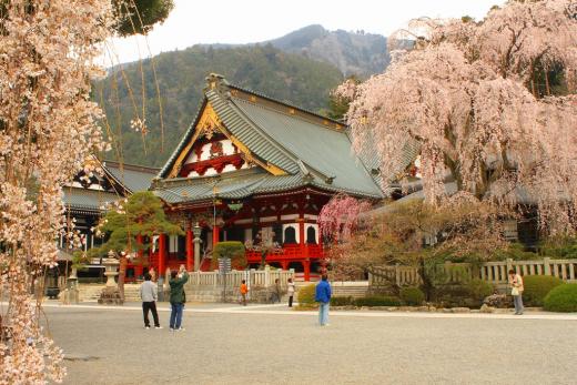 行きたい桜の名所