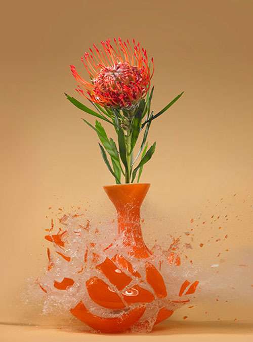 「物」が壊れるシーンが苦手な人いますか？